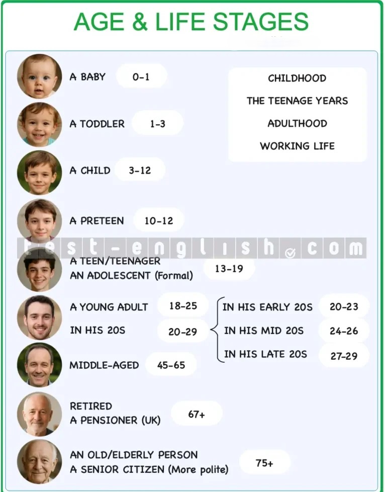 Age and life stages vocabulary chart showing baby, toddler, child, preteen, teenager, young adult, middle-aged, retired person, elderly person, senior citizen