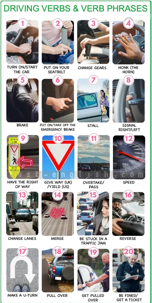Infographic of driving verbs: start the car, honk, brake, reverse, pull over, etc.