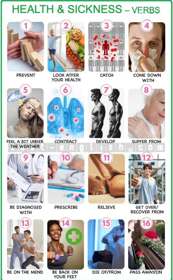 Infographic of health verbs: prevent, catch, recover, prescribe, relieve, pass away, etc.