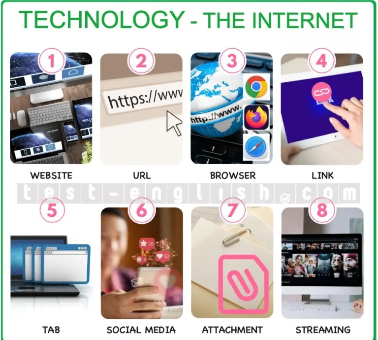 Illustrated chart showing internet vocabulary: website, URL, browser, link, tab, social media, attachment, streaming